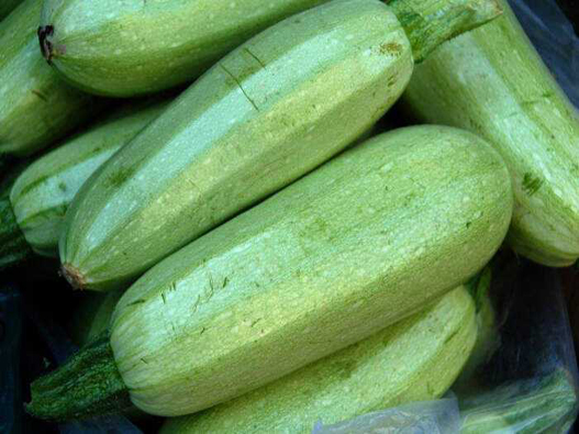 胡瓜商標注冊屬于哪一類？