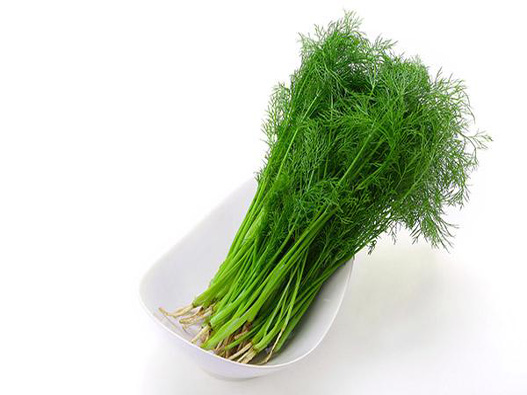 茴香菜商標注冊屬于哪一類？