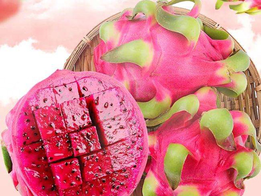 火龍果注冊(cè)商標(biāo)