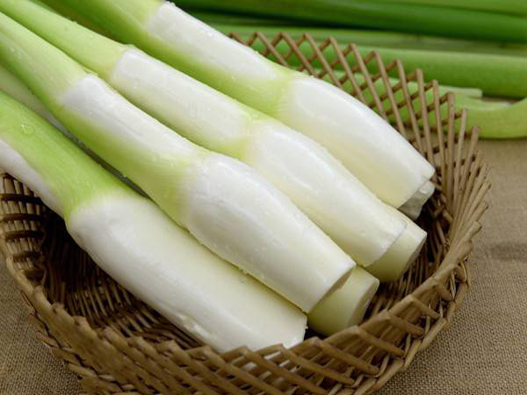 茭白商標(biāo)注冊屬于哪一類？