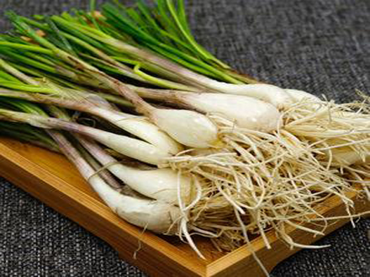 蕎頭商標(biāo)注冊屬于哪一類？