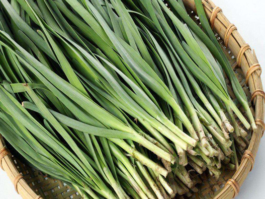 韭菜