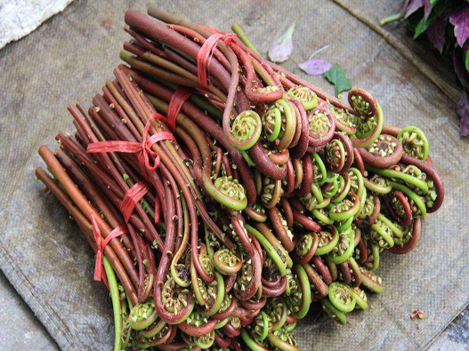 蕨菜商標(biāo)注冊哪一類？