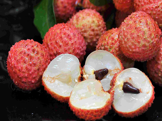 荔枝商標注冊要多少費用？