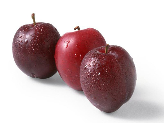 李子商標注冊要多少費用？