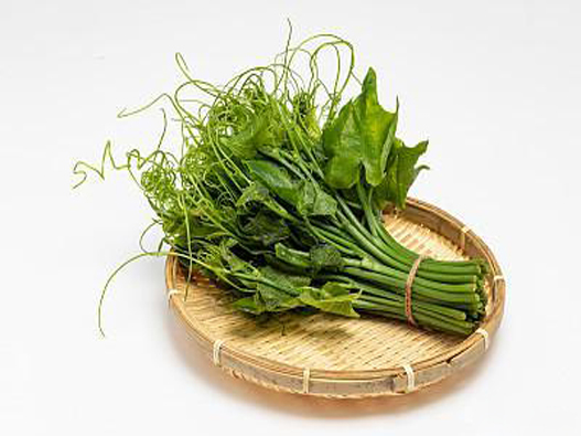 龍須菜商標(biāo)注冊哪一類？