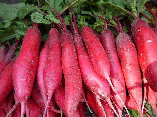 蘿卜商標注冊屬于哪一類？