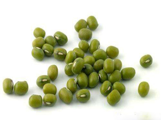 綠豆種子商標注冊哪一類？