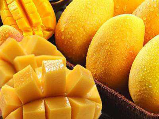 芒果商標注冊的材料是什么？