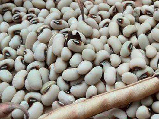 眉豆商標(biāo)注冊哪一類？