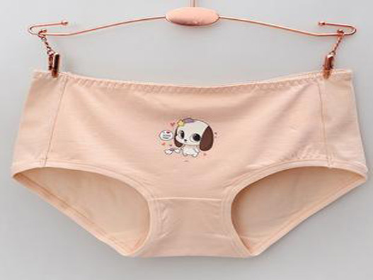 內褲商標注冊要多少費用？