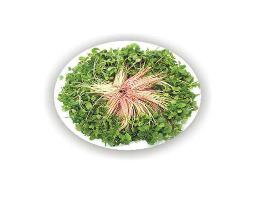 蕎麥苗商標(biāo)注冊屬于哪一類？