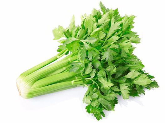 芹菜商標注冊屬于哪一類？