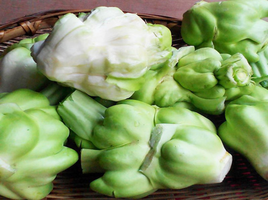 青菜頭商標注冊屬于哪一類？