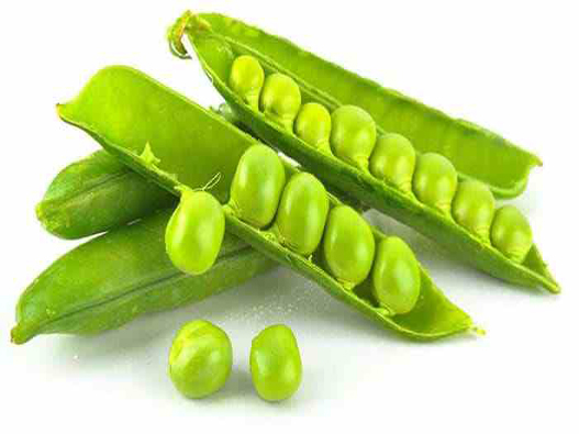 青豆商標注冊屬于哪一類？