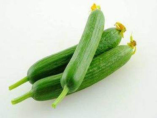 乳瓜商標(biāo)注冊屬于哪一類？