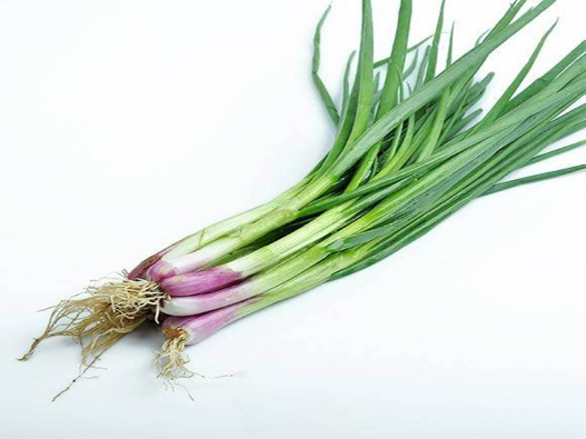 蒜苗商標注冊屬于哪一類？