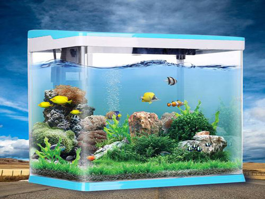 水族箱商標注冊屬于哪一類？