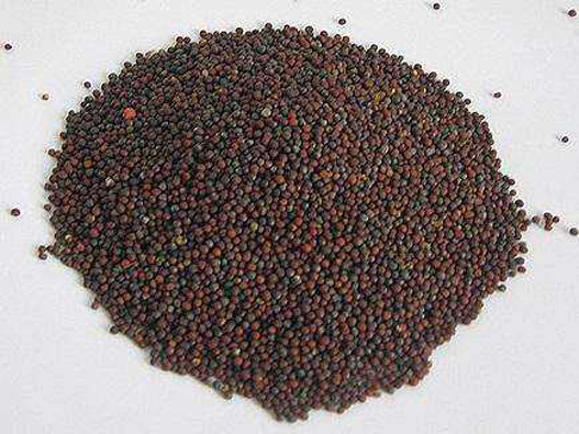 茄子苗商標注冊哪一類？