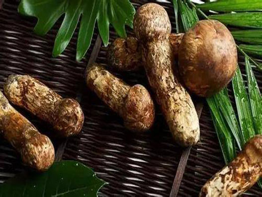 松茸商標注冊的步驟有哪些？