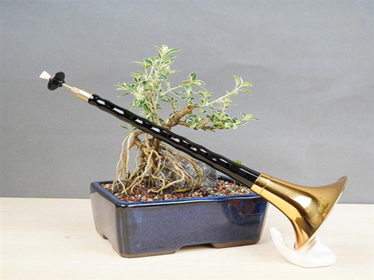 嗩吶商標(biāo)注冊的材料是什么？