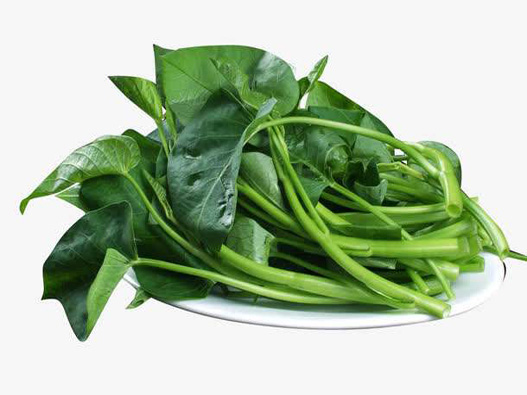 通心菜商標注冊屬于哪一類？