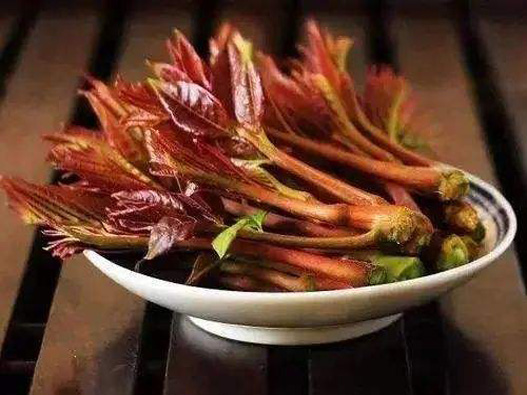 香椿商標注冊屬于哪一類？