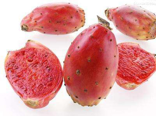 仙人果商標注冊哪一類？