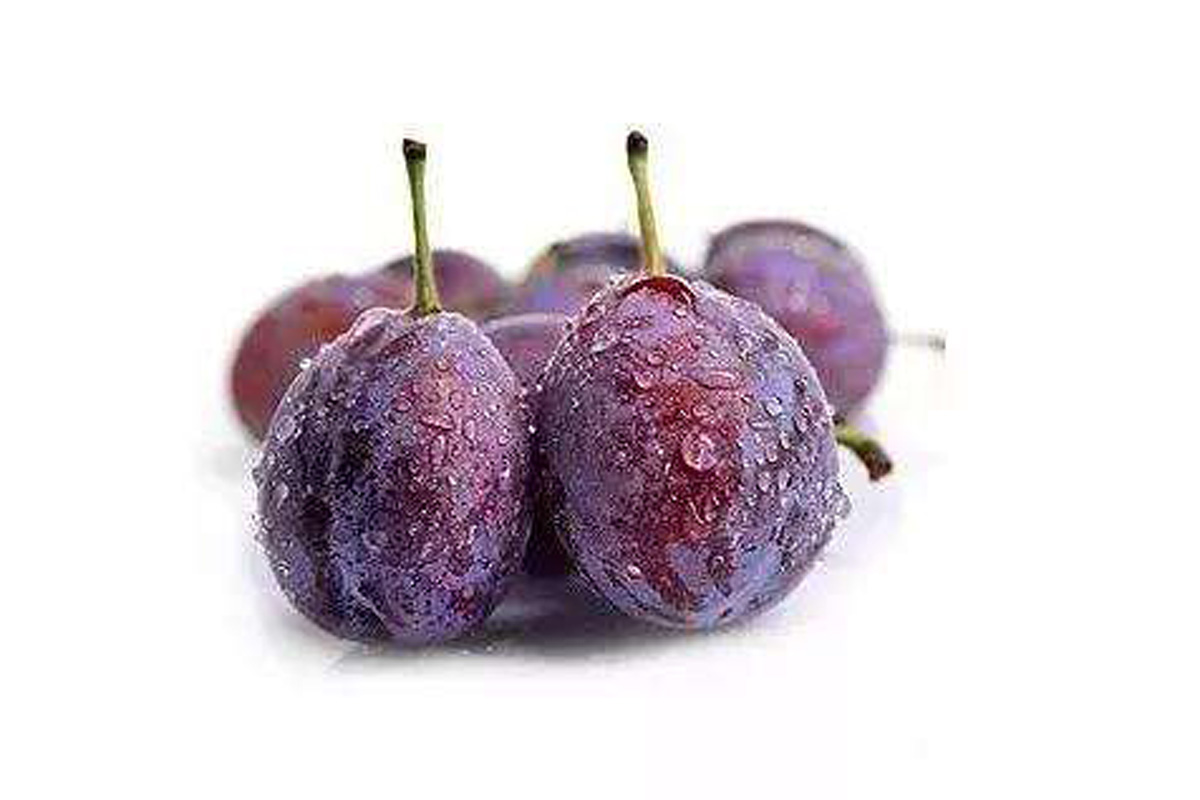 西梅罐頭商標注冊