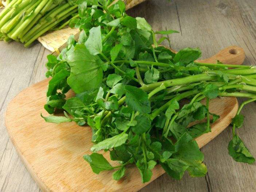 西洋菜商標注冊哪一類？