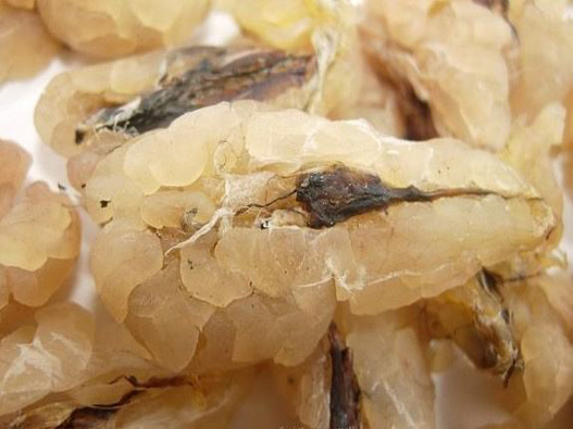 雪蛤商標注冊的費用是多少？