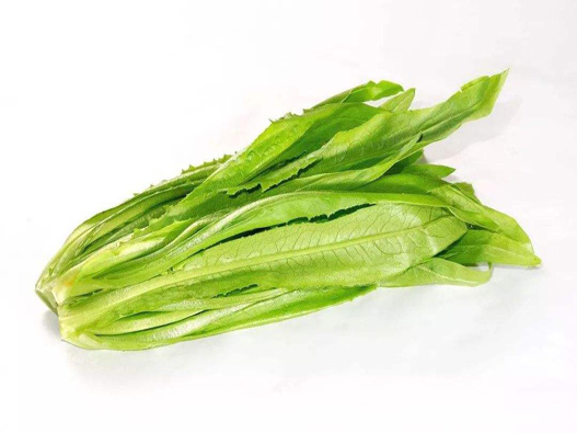 油麥菜商標注冊屬于哪一類？