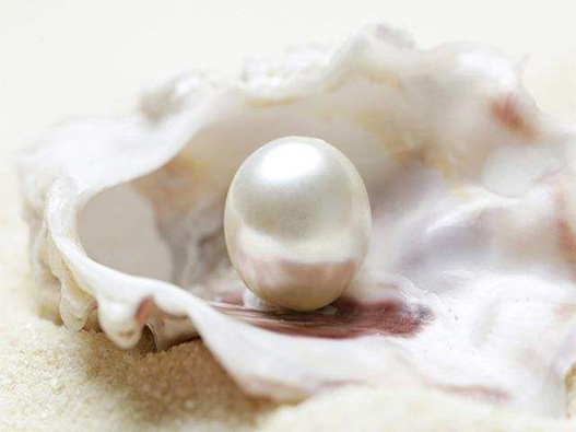 注冊(cè)珍珠商標(biāo)