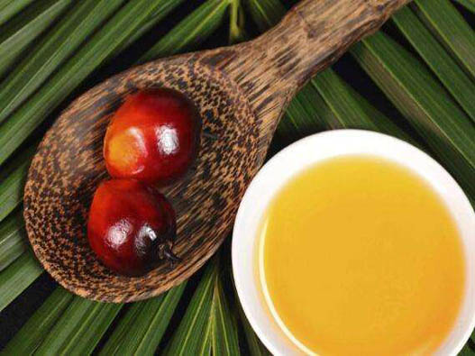 食用棕櫚油商標注冊哪一類？