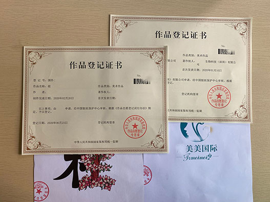 美術(shù)作品版權(quán)